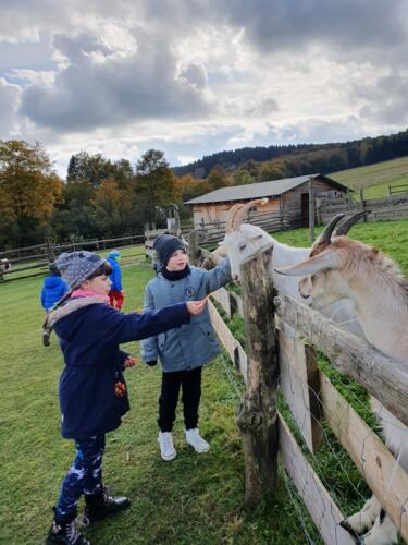 0e4f5066-abc4-49bf-9a0d-20b85a714398 (Copy)