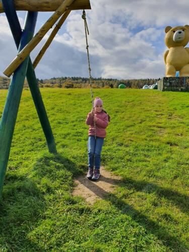 19d54593-5f40-43a0-ae0c-527fb2225eb6 (Copy)