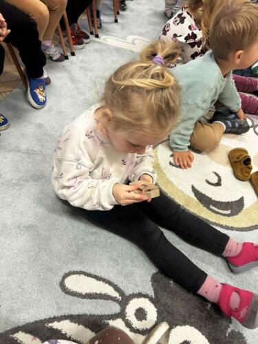 1a91d55f-7fa9-41da-9144-1e2d4fff7ea1 (Copy)