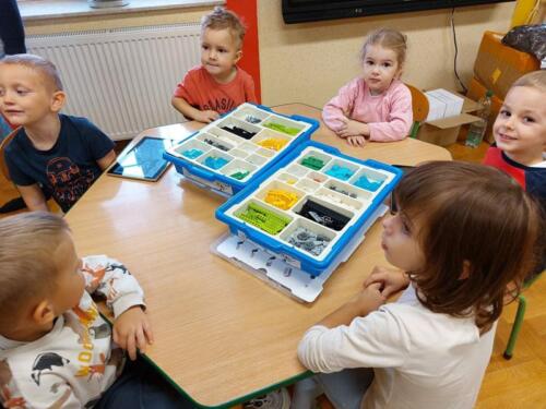 308942421_838323607541380_1900473200226533605_n (Copy)