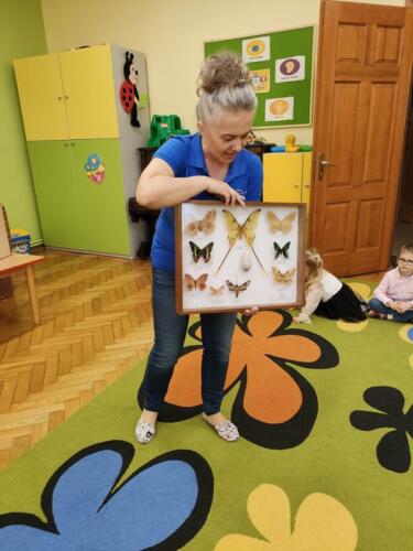 342331950_750423486624616_3438828348756213835_n (Copy)