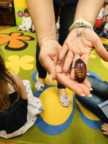 342357459_626016315624101_7347289615170676050_n (Copy)