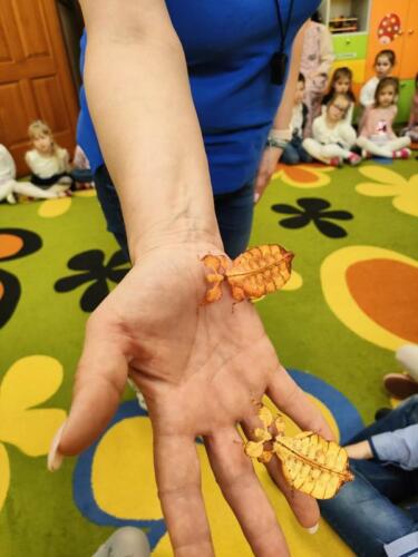 342360419_935647040808215_1385286041335570455_n (Copy)