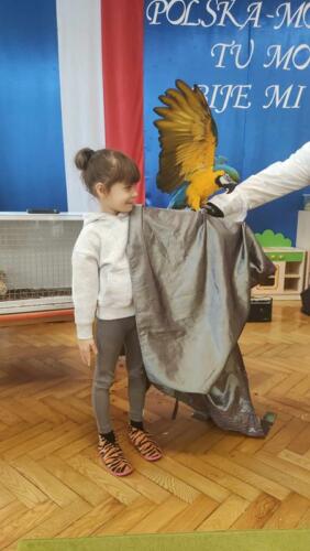 377261529_896767212042079_7385344335463877208_n (Copy)