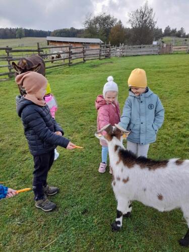 380096049_762821205611105_3450836810762245149_n (Copy)