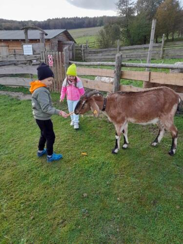 380218228_286365630951501_5137479613895148917_n (Copy)