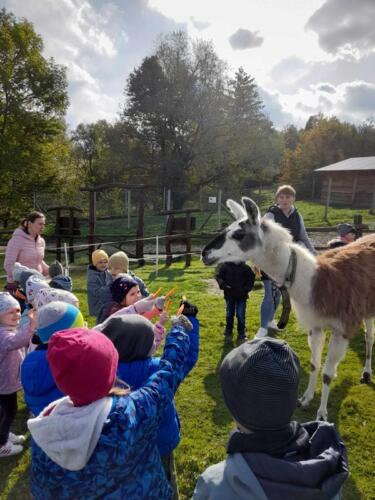 380232653_668366285435976_1237224396981530635_n (Copy)