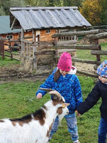 3ef1b535-c753-4ca7-9cd1-92605fc535ac (Copy)