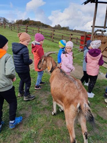 4125e374-8f5b-43de-80d5-dddda2bce8e4 (Copy)