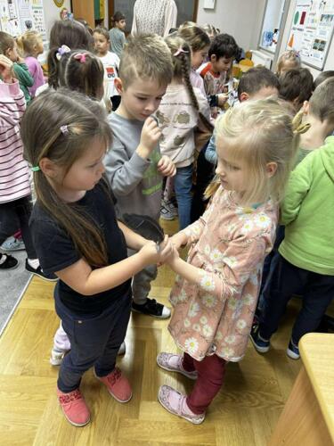 462644402_557172597082561_1560530262296763978_n (Copy)