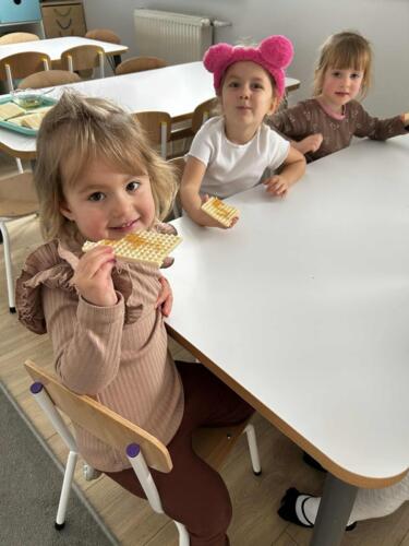 4d93c5c1-b5d6-4b09-b8f0-39f389294fb3 (Copy)