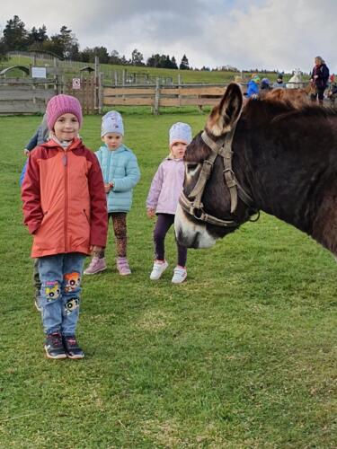 6a4254f7-44be-482c-a57f-cf29500a9bcc (Copy)