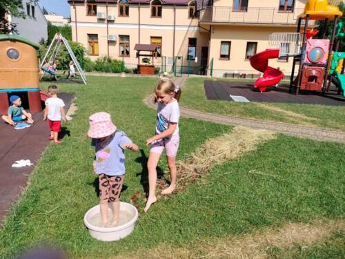 8fa82f62-5aec-478a-9021-1128b0f9dfc4 (Copy)