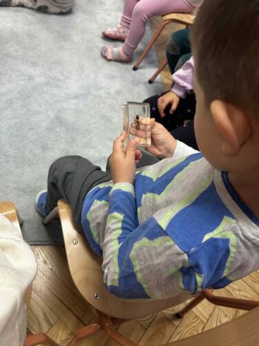 8ff45d5d-74c2-493c-b8b6-04076d9ab72a (Copy)