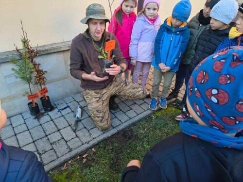 c469de45-829c-4ff9-abc3-83e86b2028b4 (Copy)