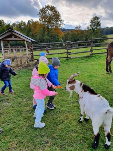 c731d455-6fe8-4ef2-acc9-b7e910b0727a (Copy)