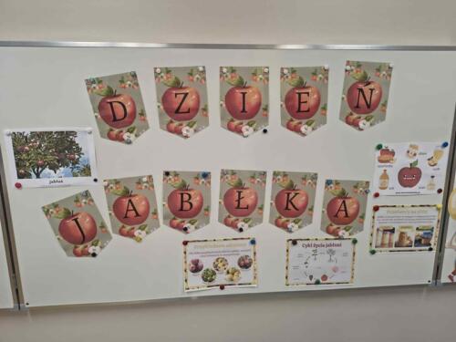 c92b10a0-10db-4bbd-bb55-c2e44b4667e4 (Copy)