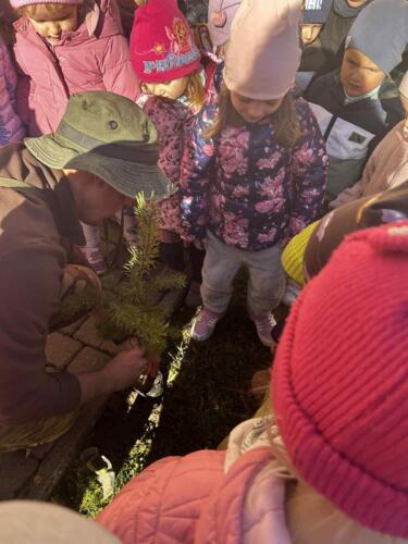 cf07fe93-b72c-45c3-965c-257e92981884 (Copy)