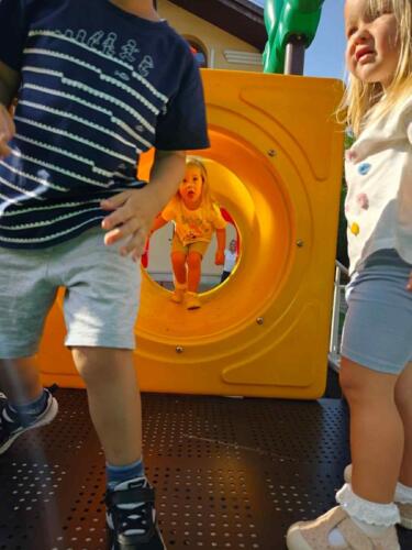 d025b3f1-c4b8-499d-a5e6-c5abf635cedd (Copy)