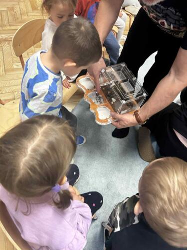 d47d1332-f6c4-4001-bf2e-147ab50b140c (Copy)