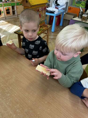 d4948761-51d7-4d46-a1e0-0d5f8d80dbd6 (Copy)