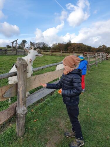 e1bc591e-4765-4860-bcce-26d1857f060e (Copy)