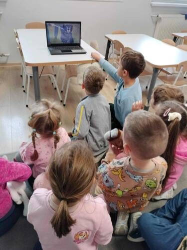 e81cfd10-1141-42d4-b59f-5f5f8137ff54 (Copy)