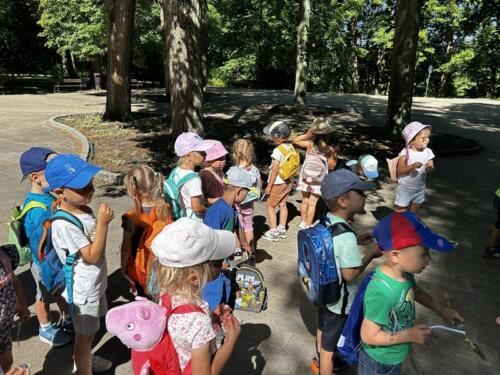 ec08ab7b-5874-4e26-94ce-32421618688f (Copy)